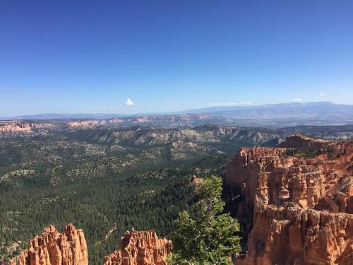 08:52:25 GMT-0600 (CST).image