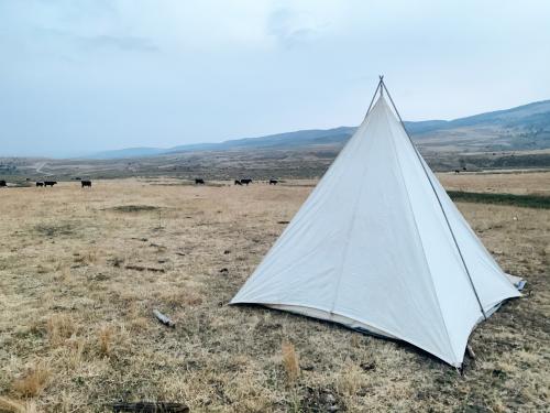 08:02:56 GMT-0700 (MST).image