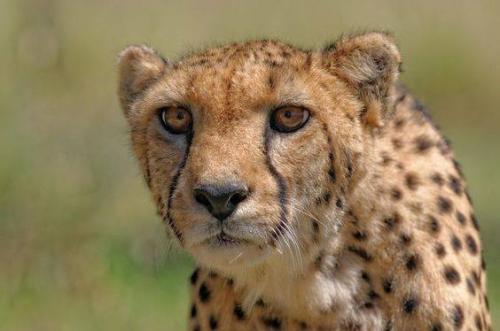 13165956_10204689530638340_654640888618254741_n