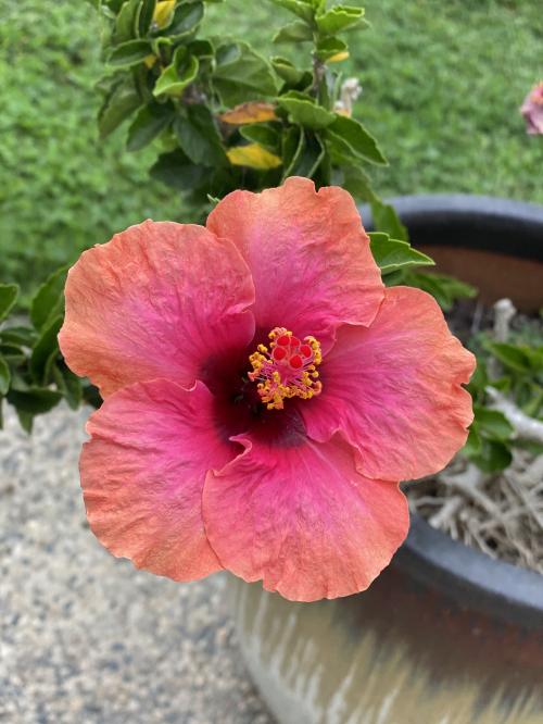 21:29:46 GMT-0800 (PST).image