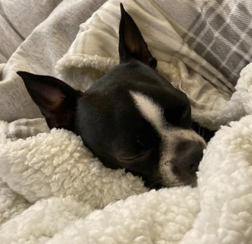 15:58:16 GMT+0100 (WAT).image