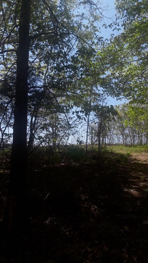 18:44:59 GMT-0600 (CST)