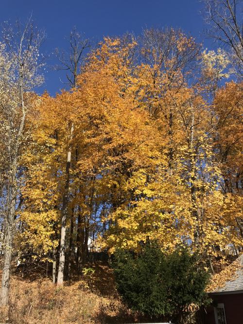 23:05:12 GMT-0500 (EST).image