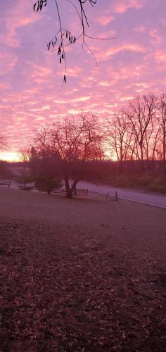 07:34:31 GMT-0500 (EST)