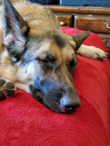 07:00:17 GMT-0700 (MST)