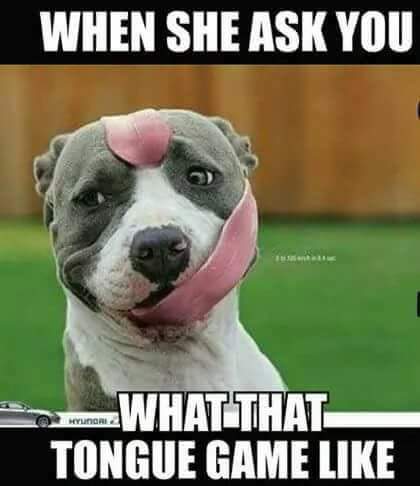 19:28:32 GMT-0600 (CST)