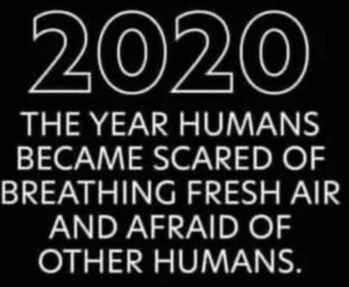 127716980_484631962504203_5730738888446108655_n