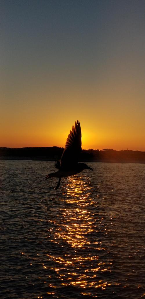 22:32:06 GMT-0600 (CST)