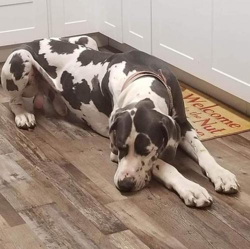 09:28:16 GMT-0600 (CST)