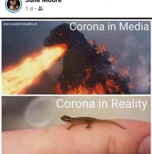 119092844_361202771927811_458570526079052234_o