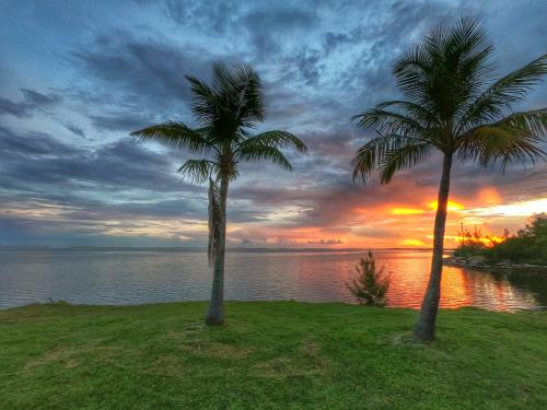 121817136_124976139364282_5953038280497584546_o