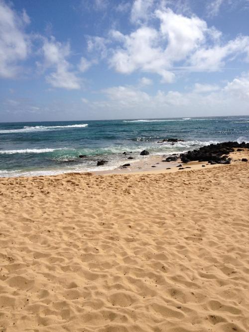 09:55:53 GMT-0500 (EST).image