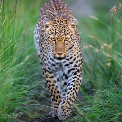 tumblr_2a43566a14f83381fd9f871c19a22821_a2d70167_540