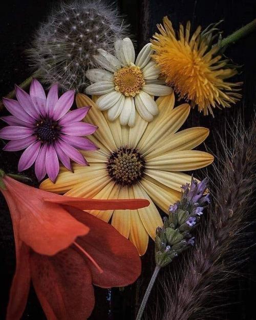 FB_IMG_1604889412583