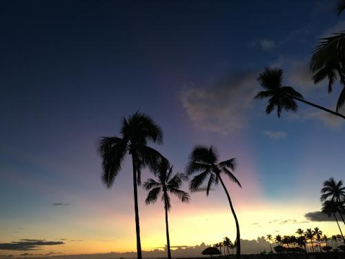 18:01:24 GMT-0500 (EST).image