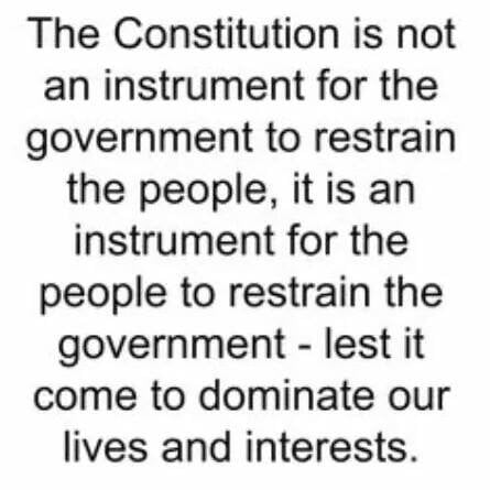 theconstitution