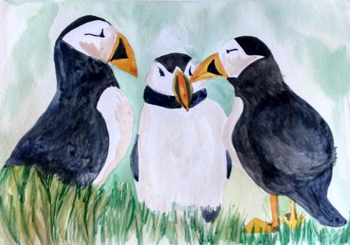 _3Puffins