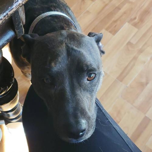 23:22:49 GMT-0600 (CST)