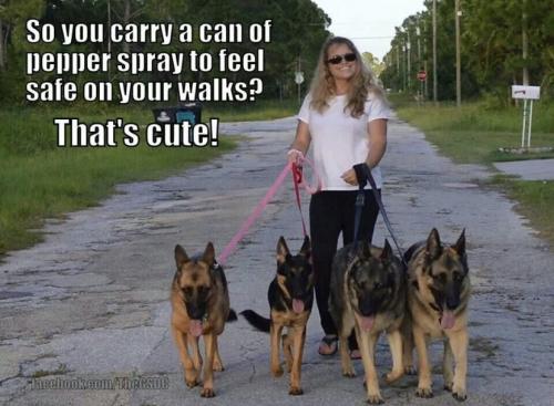 05:56:41 GMT-0600 (CST).image