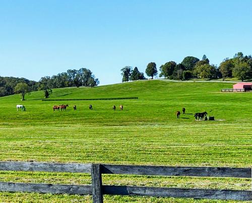 16:31:41 GMT-0500 (EST)