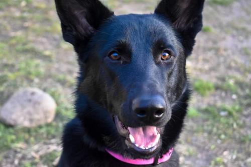 23:06:42 GMT-0600 (CST)