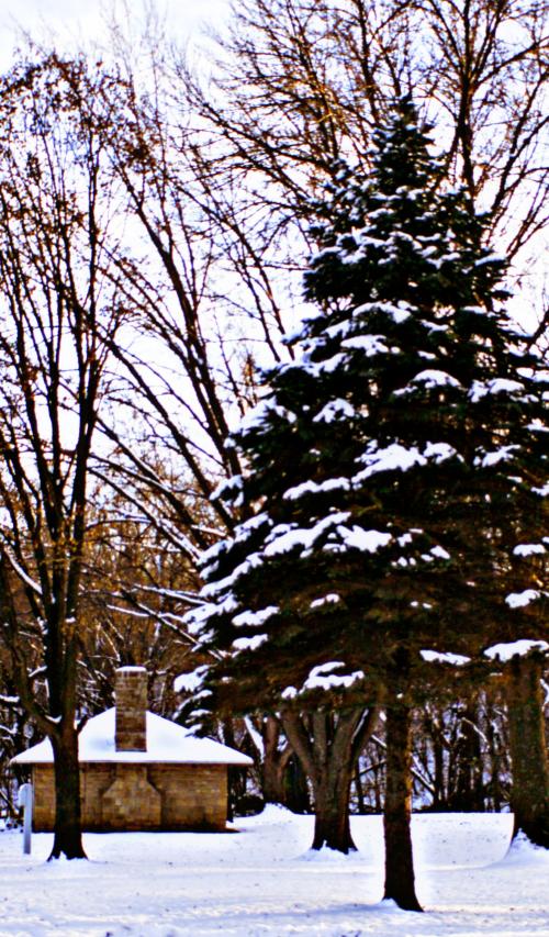 11:49:33 GMT-0600 (CST)