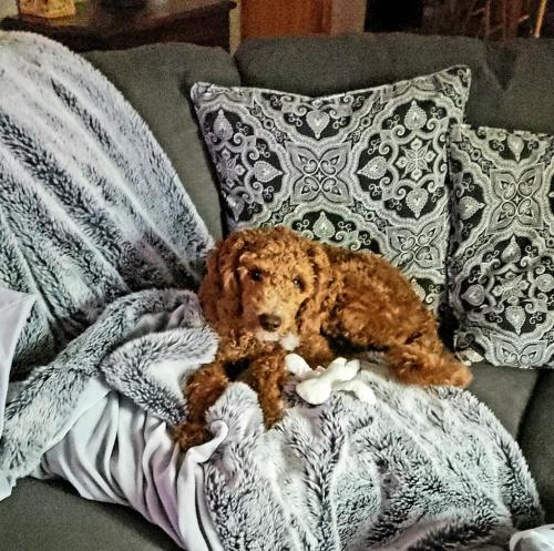 08:01:39 GMT-0500 (EST)