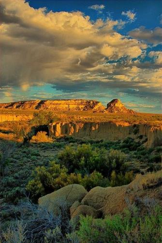 125420923_365639781181966_5276400093614311472_n