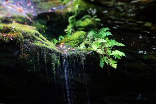 21:31:52 GMT-0600 (CST)