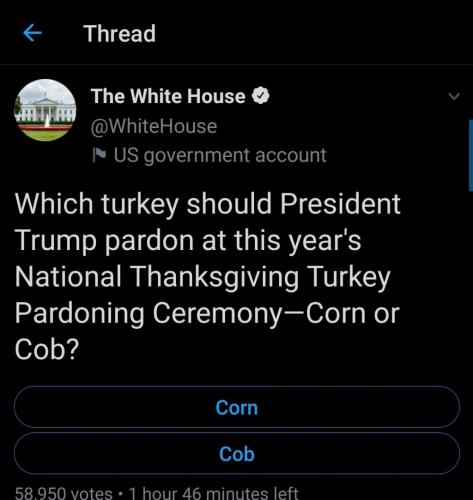 14:23:33 GMT+0000 (GMT)