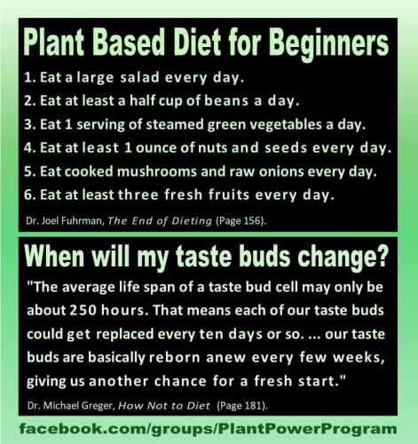 12:10:19 GMT-0700 (MST)