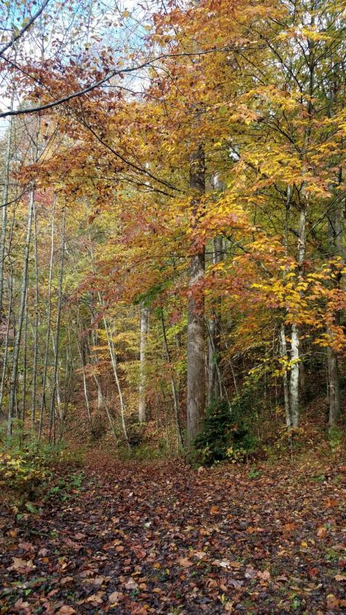 16:42:52 GMT-0500 (EST)