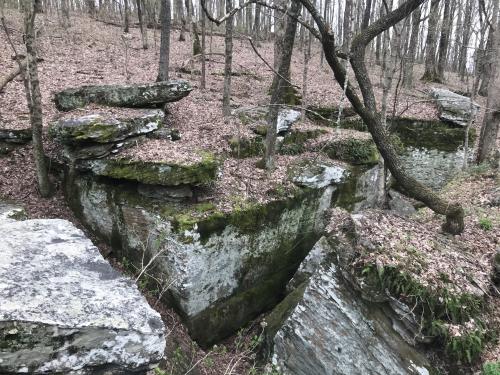 B373C9A9-0B55-44CB-812D-C7A85B04E5EC