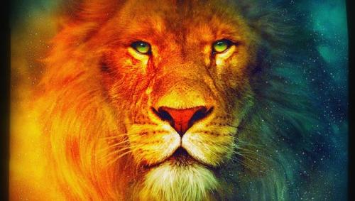 12009719_10206060426848500_5865669832657572277_n