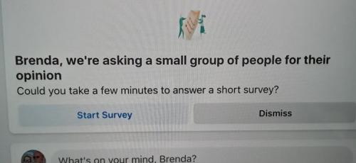 128067409_1763098867189969_5790324950604780197_n