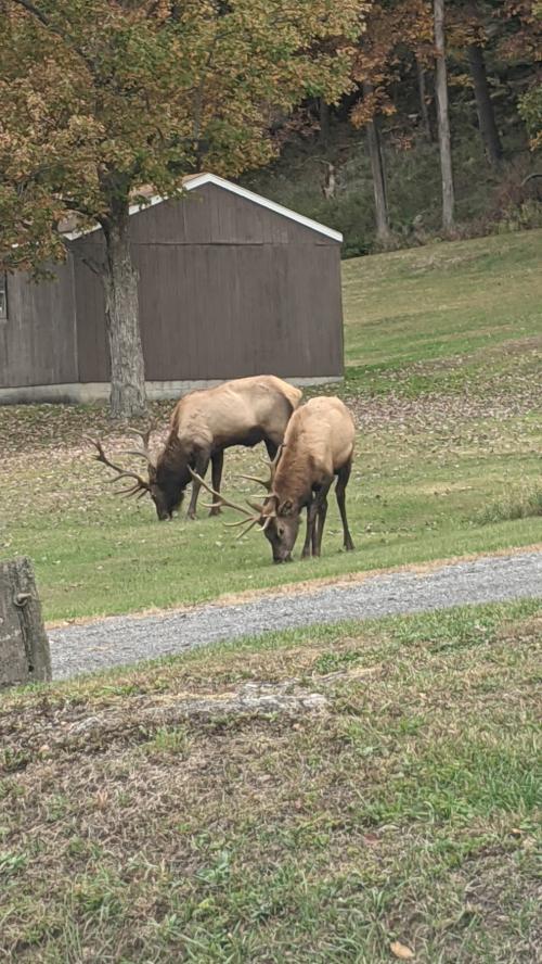 19:21:06 GMT-0500 (EST)