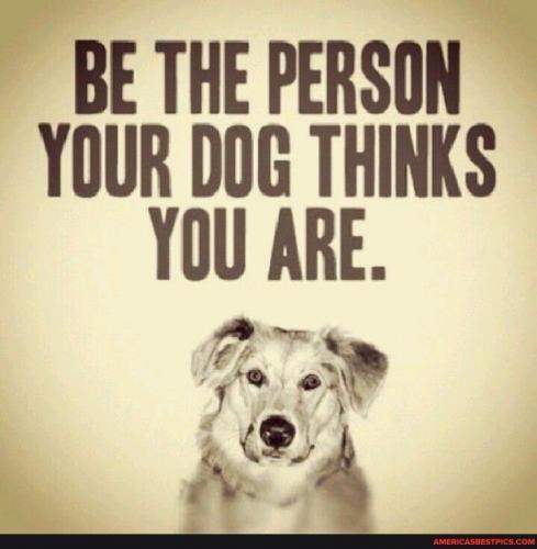 02:53:56 GMT-0600 (CST).image