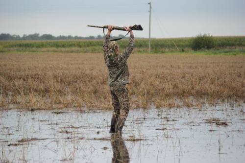 11:03:19 GMT-0600 (CST).image