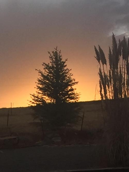 17:27:49 GMT-0700 (MST).image