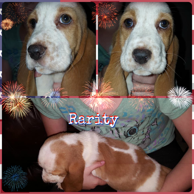 rarity-8-wks