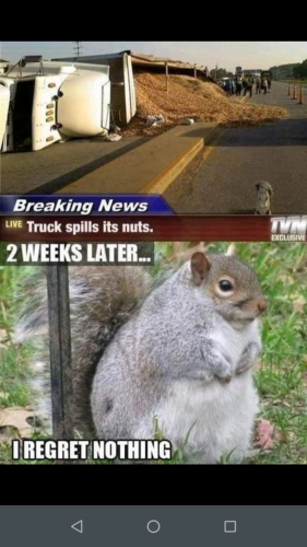 17:26:11 GMT-0500 (EST)