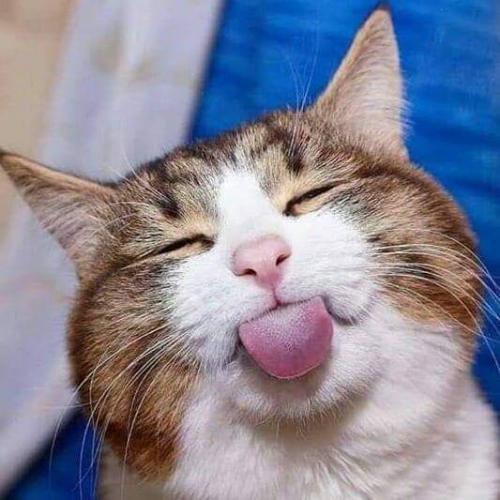 17:38:44 GMT-0500 (EST)