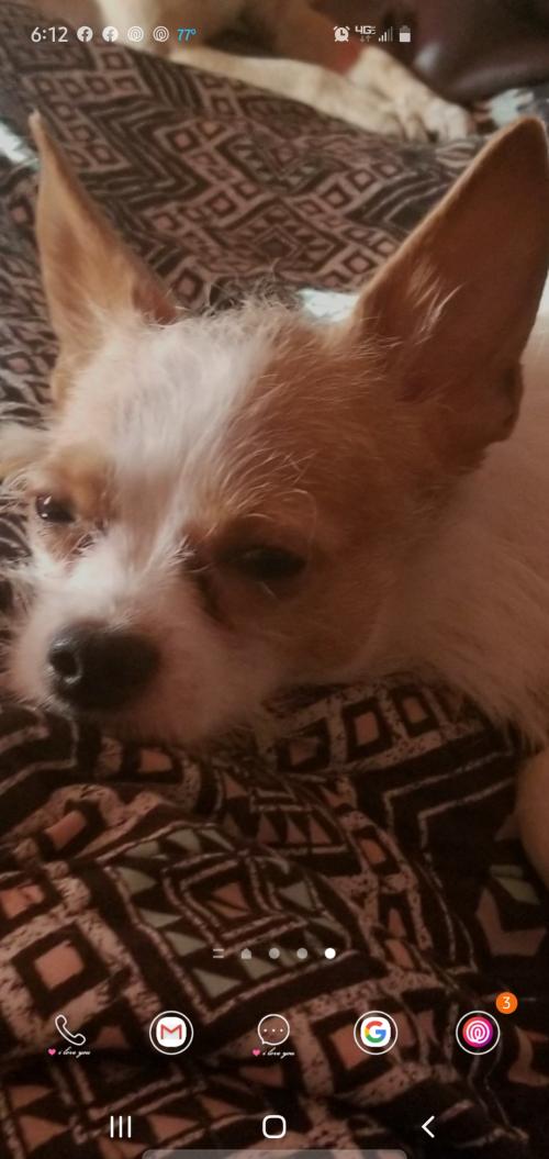 23:00:32 GMT-0600 (CST)