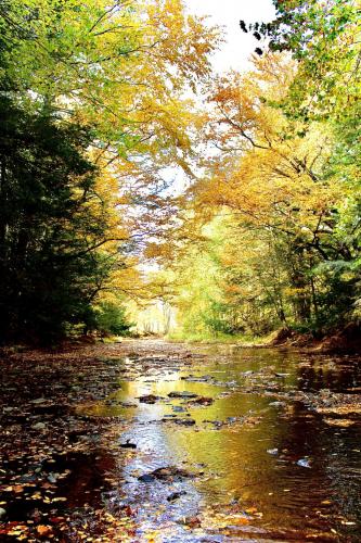 12:55:03 GMT-0500 (EST).image