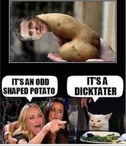 Newsome Dicktater