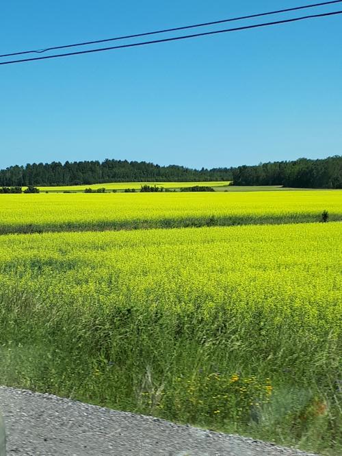 08:37:00 GMT-0500 (EST)