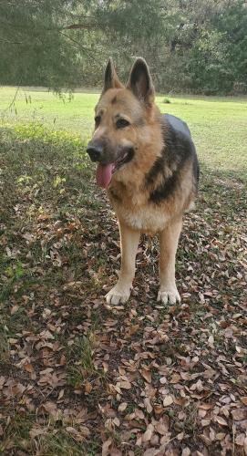 16:15:49 GMT-0600 (CST)