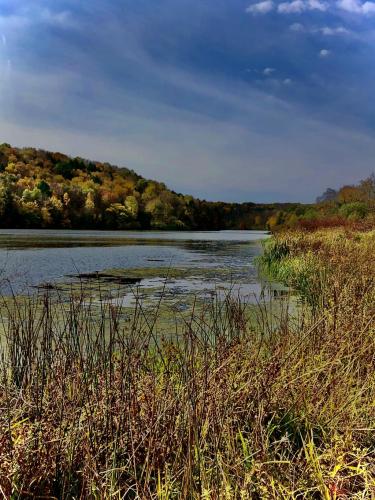 16:01:55 GMT-0500 (EST).image