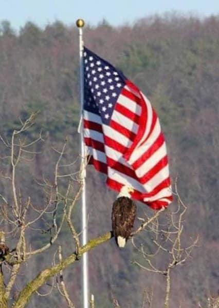 03:27:14 GMT+0100 (WAT).*