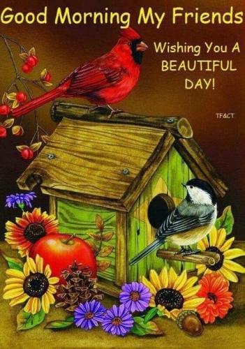 05:39:44 GMT-0600 (CST)